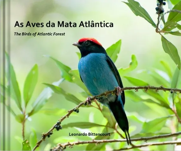 As Aves da Mata Atlântica
