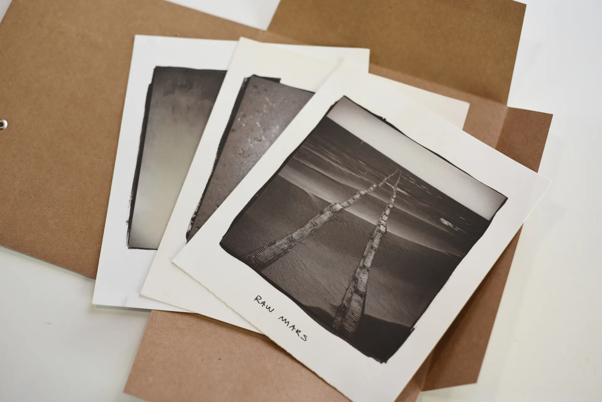 Raw Mars — Processo